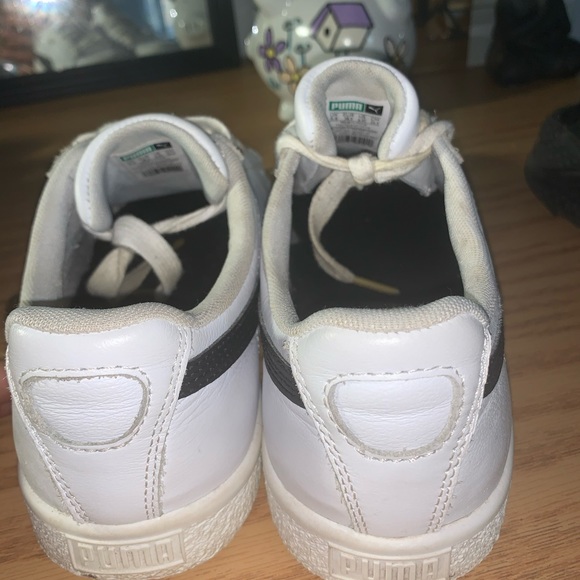 Pumas - Picture 2 of 3